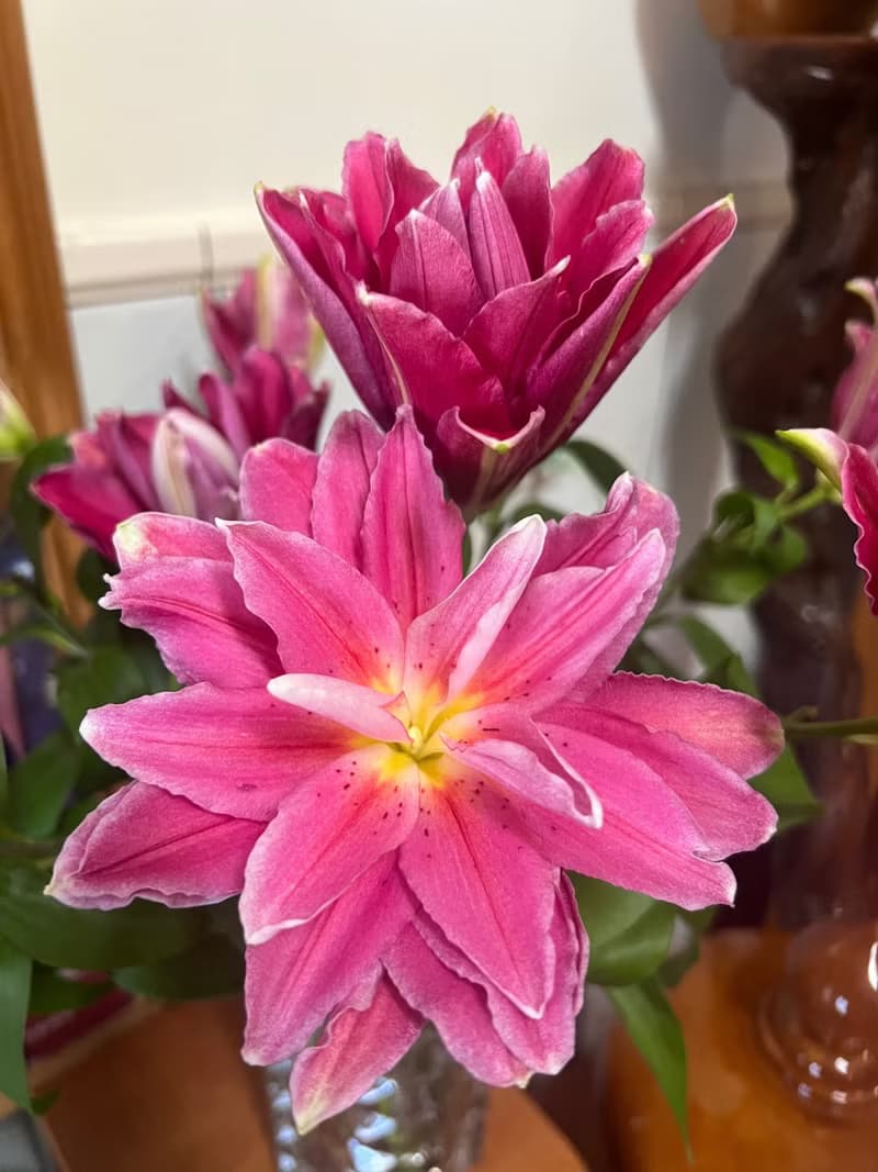 【預購商品】重瓣百合系列  A.花束款