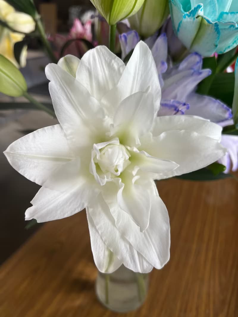 【預購商品】重瓣百合系列  A.花束款