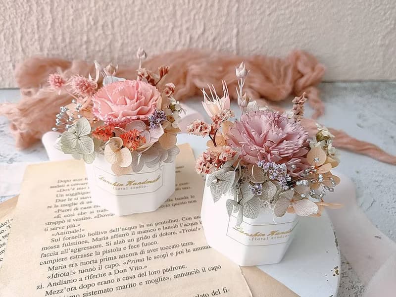 藍芯手作│康乃馨盆花・永生玫瑰 畢業花束 生日禮物 母親節禮盒