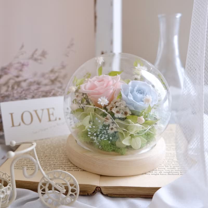 玻璃鐘罩/永生花夜燈/乾燥花/不凋花/粉紅色/粉藍/春天/生日