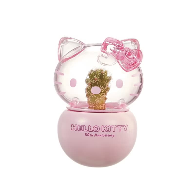 Hello Kitty不倒翁盆栽 50週年限定款 療癒盆栽 桌上擺飾 不倒翁