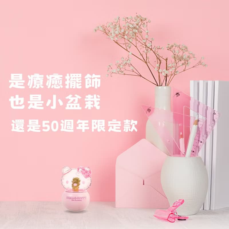 Hello Kitty不倒翁盆栽 50週年限定款 療癒盆栽 桌上擺飾 不倒翁