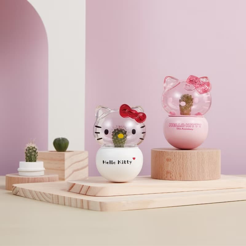 Hello Kitty不倒翁盆栽 50週年限定款 療癒盆栽 桌上擺飾 不倒翁
