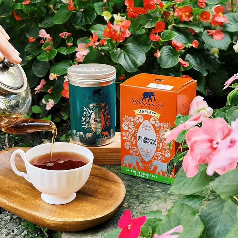 【大象罐茶包系列】豐收之茶_伯爵紅茶100g(效期2025/12/31)