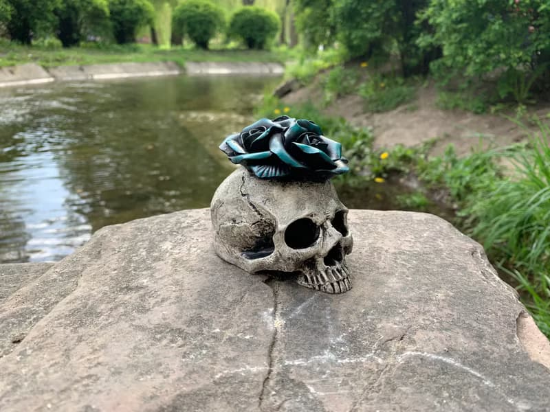 Interior Skull with Green Flowers