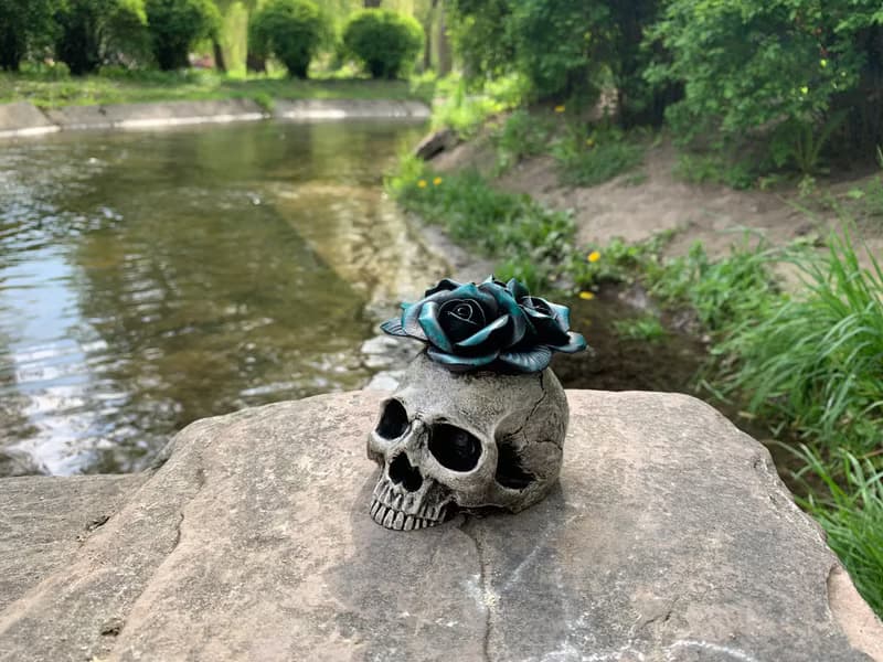 Interior Skull with Green Flowers
