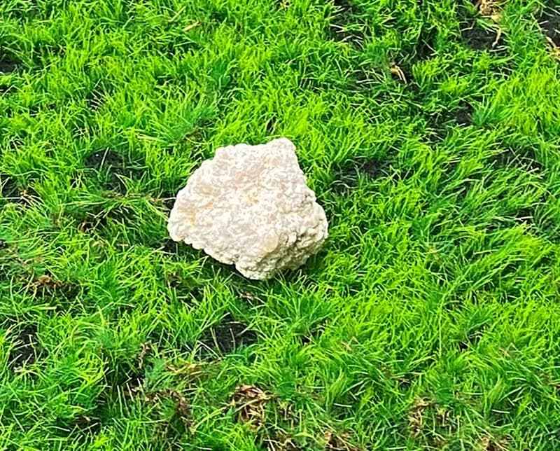 能量招財瑪瑙小白晶洞 療癒 開運 淨化 原礦  快速出貨