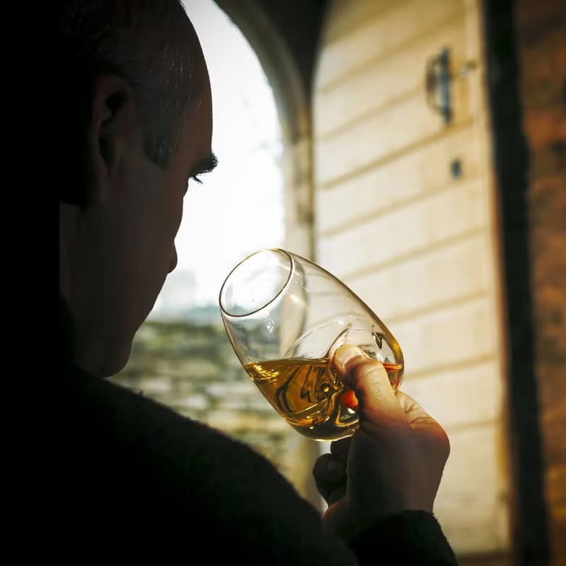 380cc【法國PEUGEOT】Les Impitoyables le Taster 手工無情杯