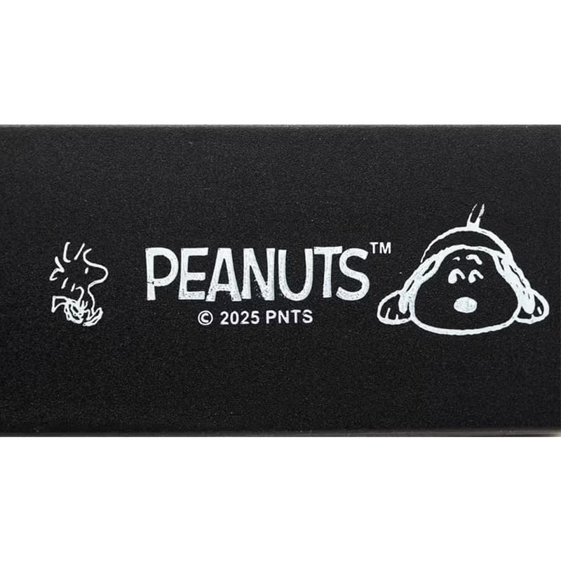 SNOOPY 史諾比5合1便攜餐具連收納盒(5件裝) PEANUTS正版授權