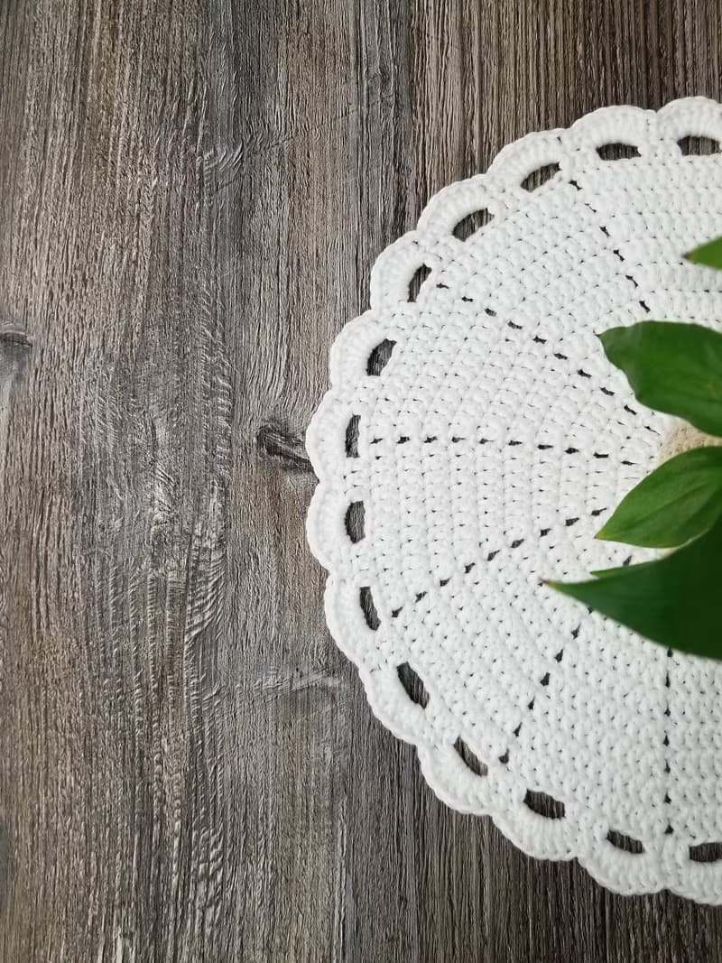 Set of 4 crochet PLACEMAT Crochet doily Knitted coaster Napkin Table decoration