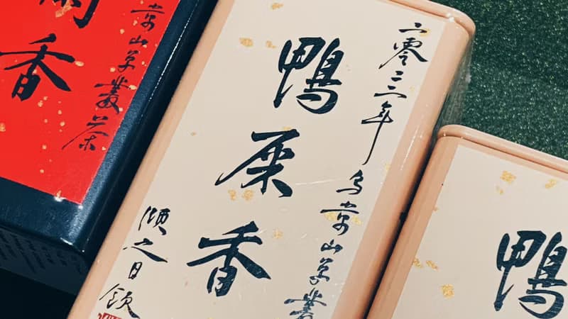 自慢堂 烏崬 鳳凰單叢 鴨屎香 蜜蘭香