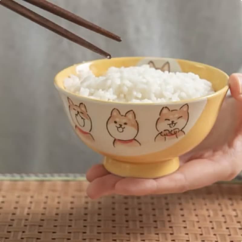 瀨戶燒-撞色釉彩手繪柴犬飯碗雙入禮盒