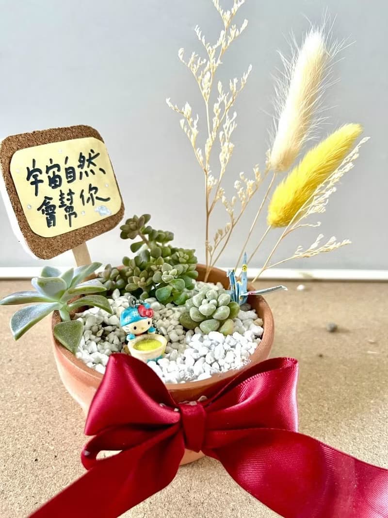 日式枯山水 多肉植物 多肉盆栽 微景觀 Kitty 凱蒂貓 三麗鷗 送禮