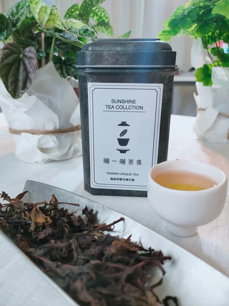 鳳凰單叢 蜜蘭香 台灣茶