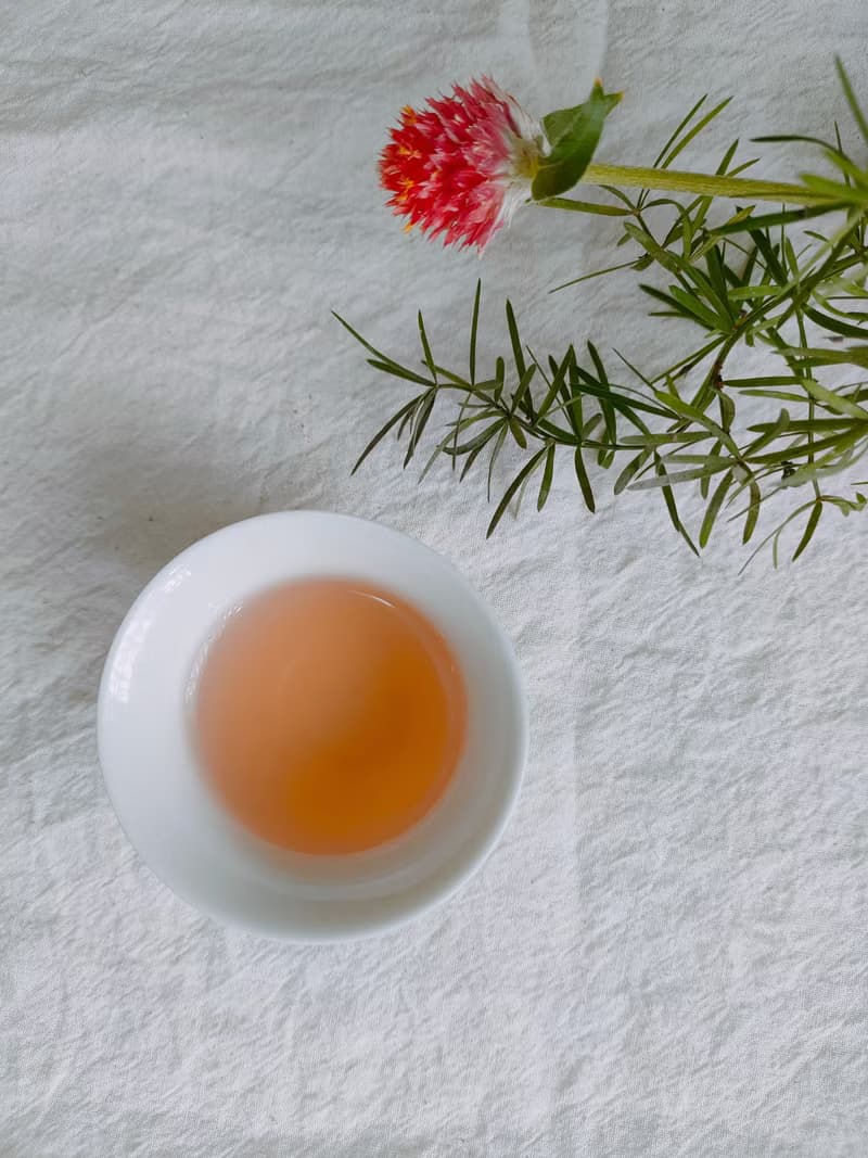 鳳凰單叢 蜜蘭香 台灣茶