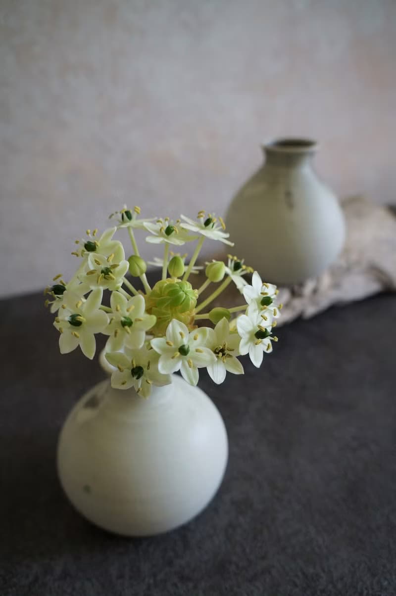 【霜墨系列】球形花器