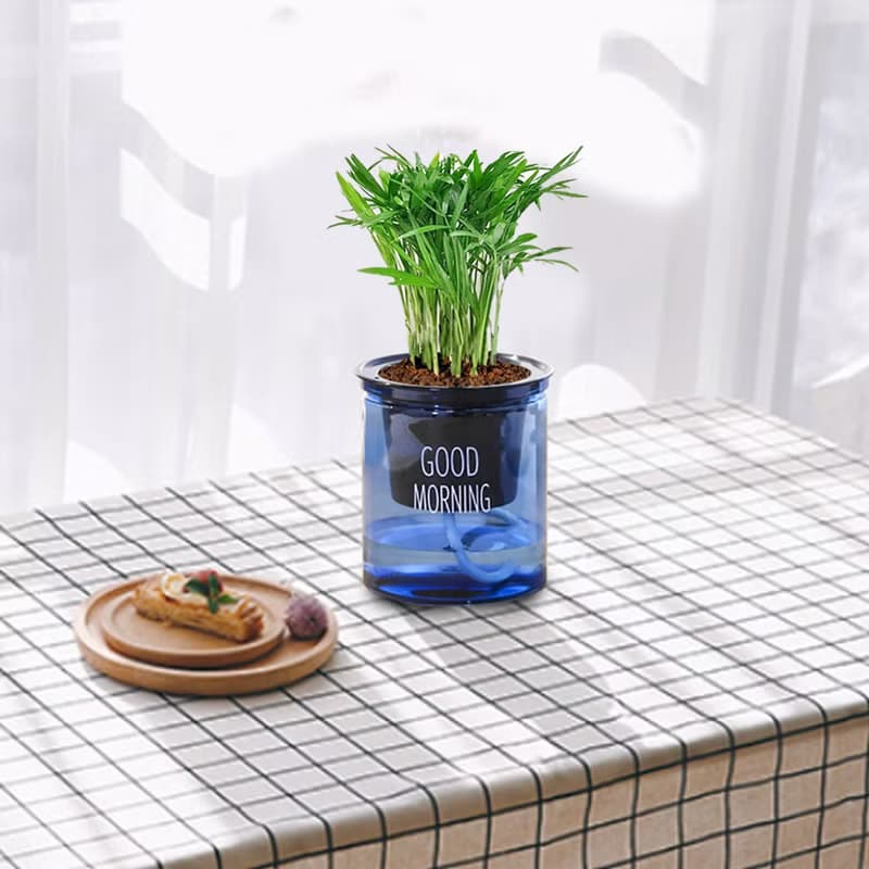 植栽 室內盆栽 袖珍椰子 懶人盆栽