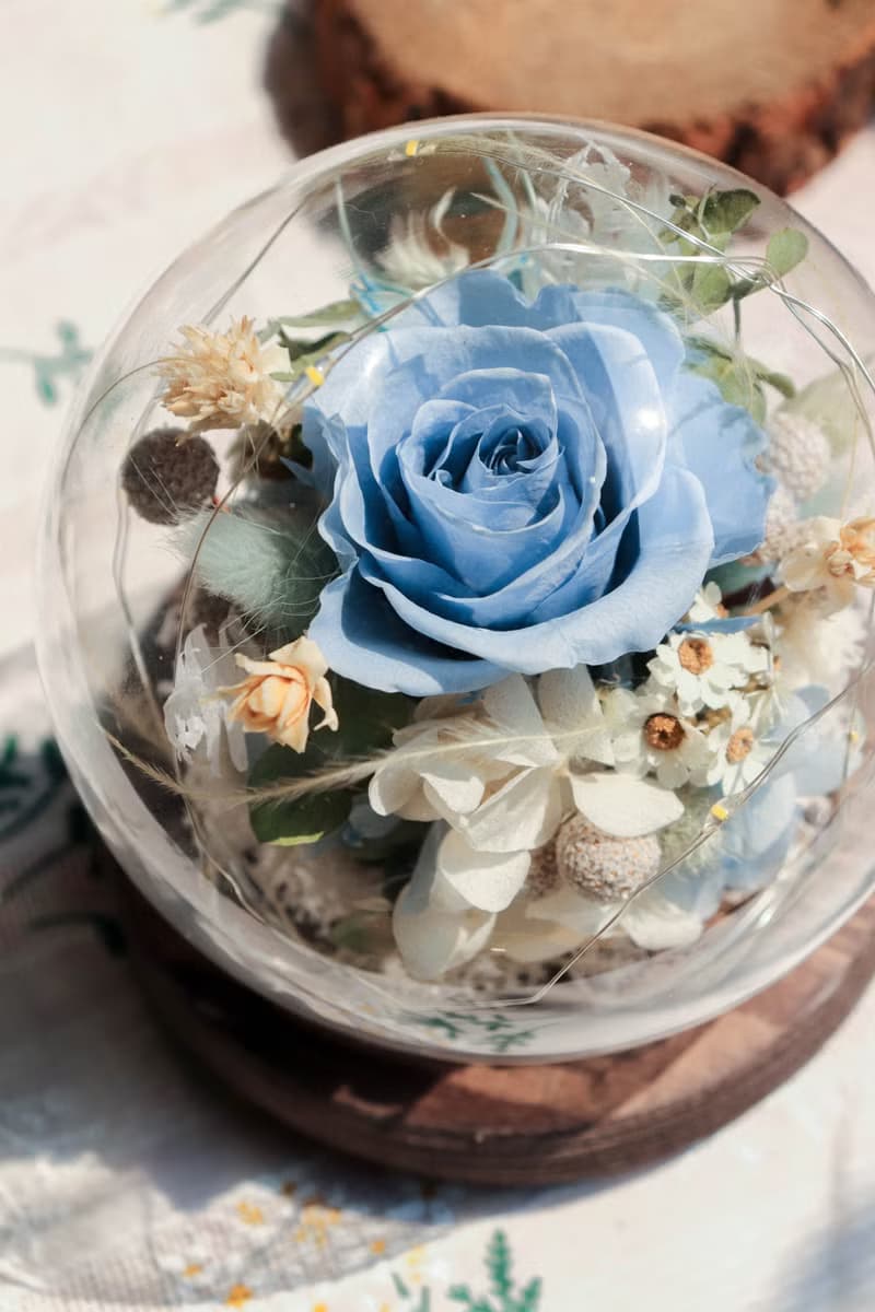 | 夏日限定 | - 湛藍發光永生花玻璃球(小) - 永生花 七夕 情人節