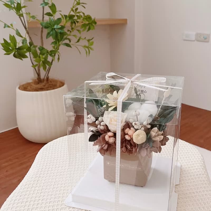 方型永生小盆花 咖啡