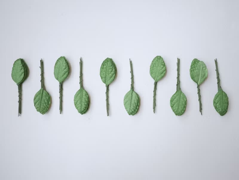 Paper Flower, Gift decoration DIY supplies: 100 pieces, green jasmine leaves