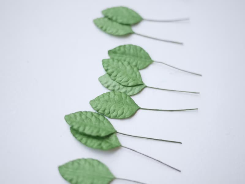 Paper Flower, Gift decoration DIY supplies: 100 pieces, green jasmine leaves