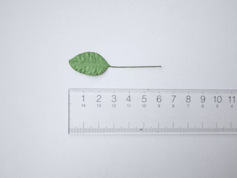 Paper Flower, Gift decoration DIY supplies: 100 pieces, green jasmine leaves