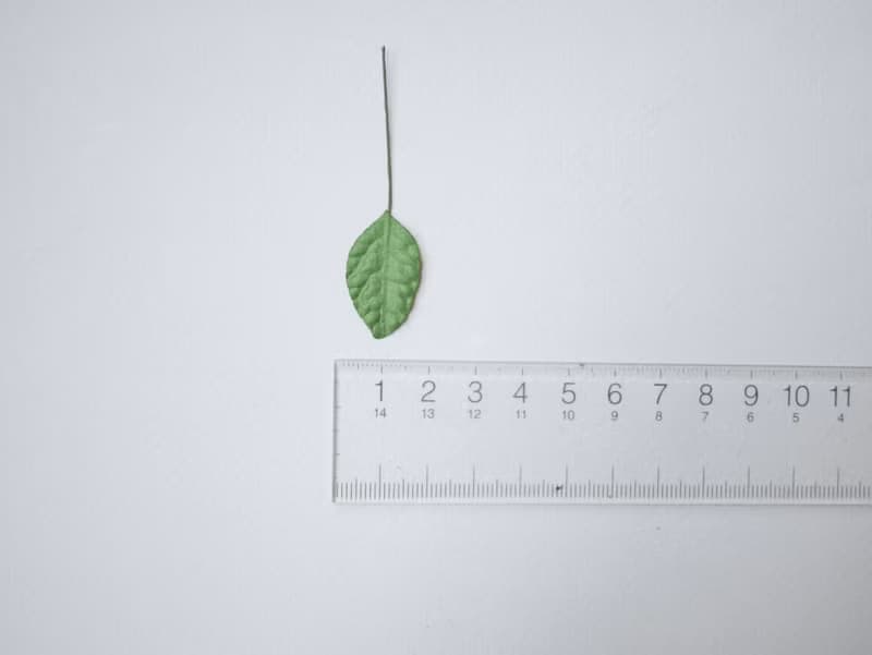 Paper Flower, Gift decoration DIY supplies: 100 pieces, green jasmine leaves