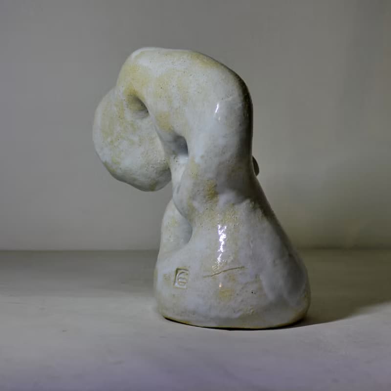 創意雕塑花瓶。 白色花瓶。珊瑚礁藝術。雕塑花瓶。插花花瓶。