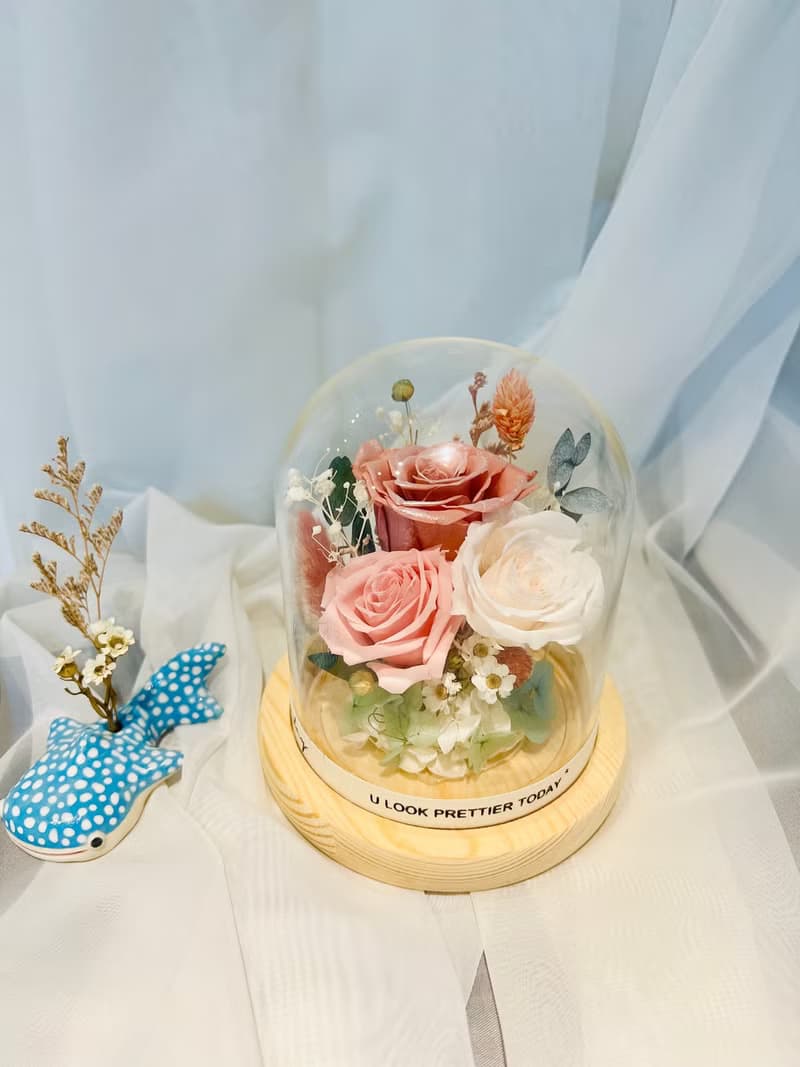 LED永生玫瑰花玻璃罩