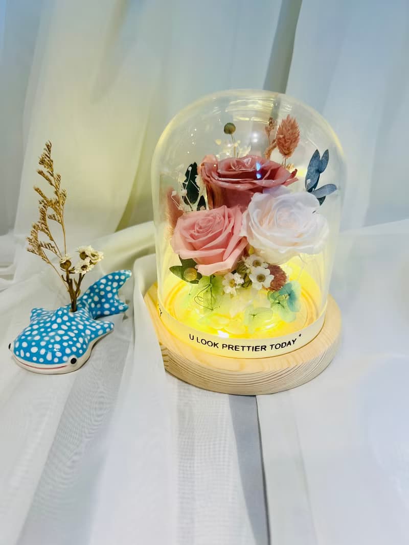 LED永生玫瑰花玻璃罩