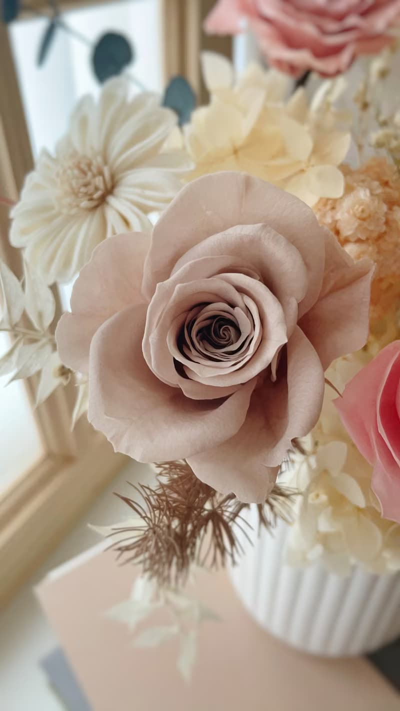 Miss。花謎 【牛奶罐永生桌花】高盆 開幕花禮 盆花