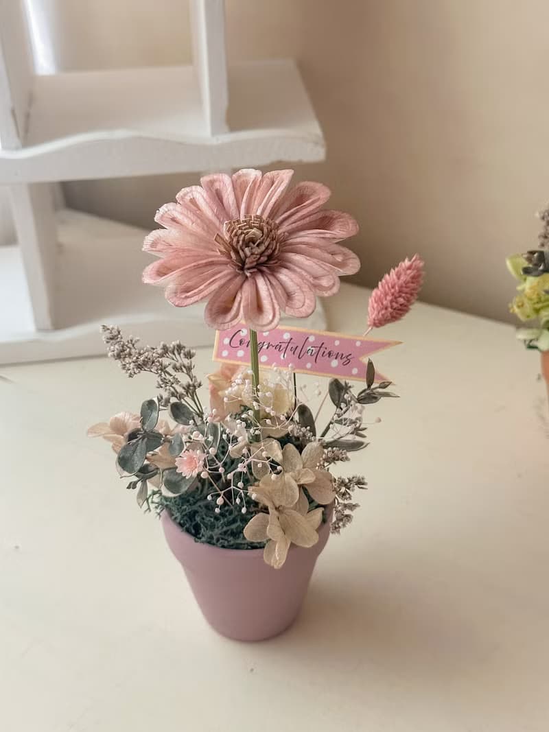 畢業 向日葵盆花 小鳥花語 畢業禮物 桌花