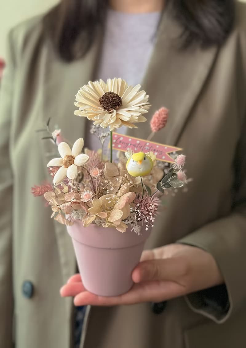畢業 向日葵盆花 小鳥花語 畢業禮物 桌花