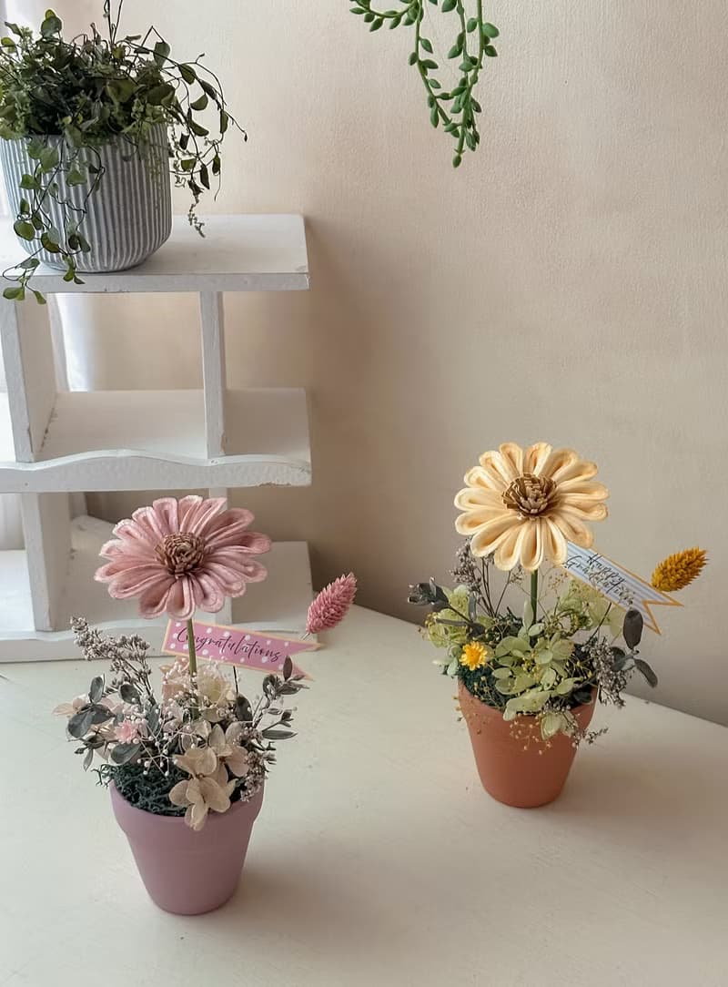 畢業 向日葵盆花 小鳥花語 畢業禮物 桌花
