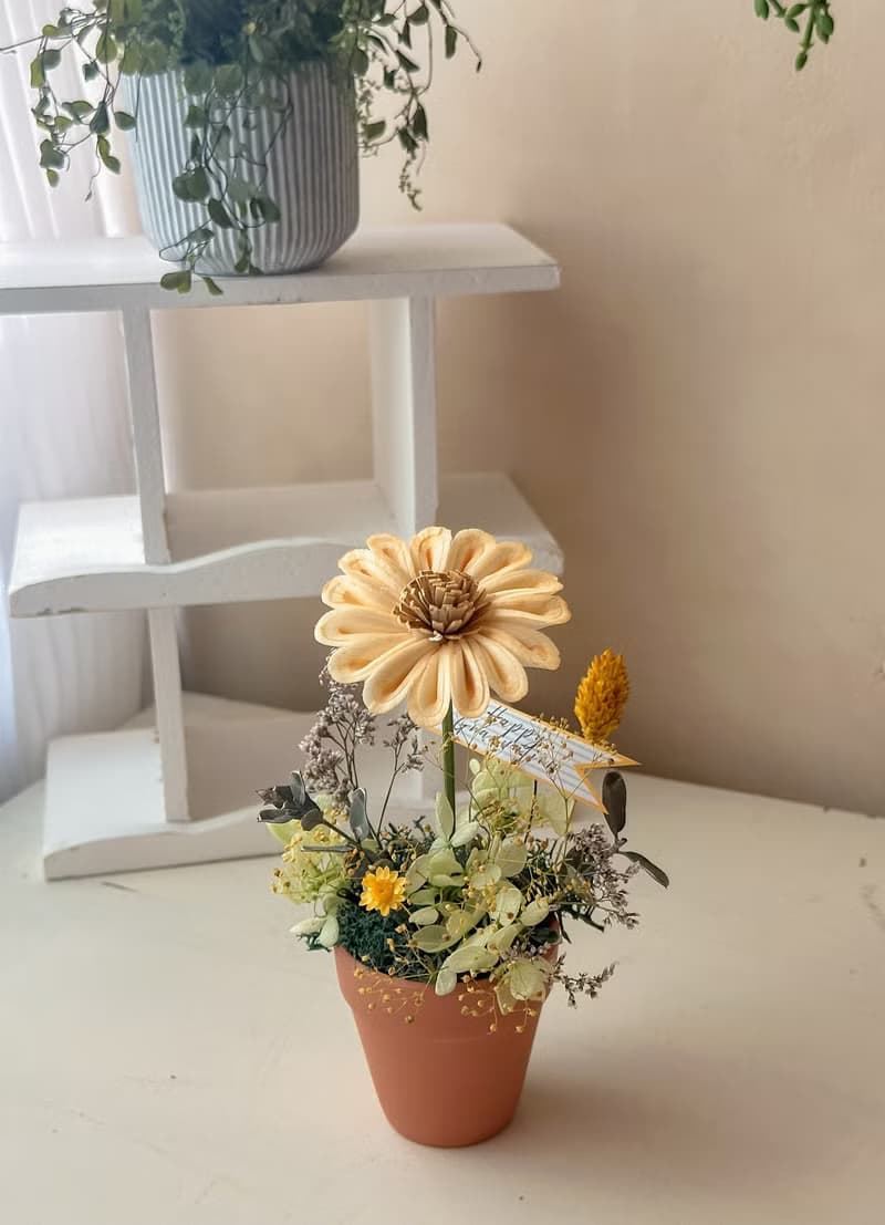 畢業 向日葵盆花 小鳥花語 畢業禮物 桌花