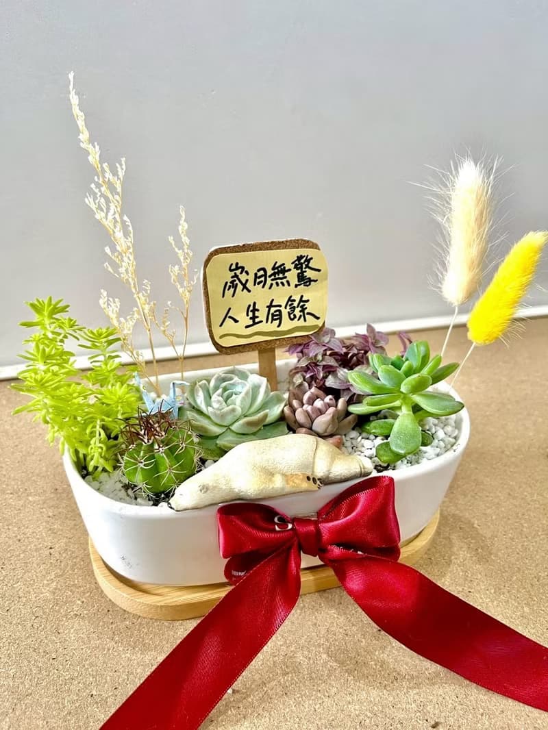 多肉組盆  小熊 日式枯山水 北極熊 滿月送禮 成長的意象 祝福禮
