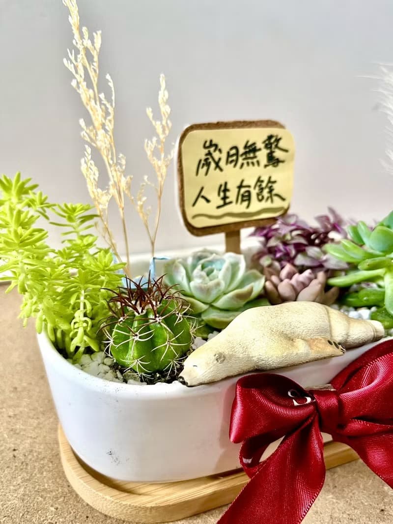 多肉組盆  小熊 日式枯山水 北極熊 滿月送禮 成長的意象 祝福禮