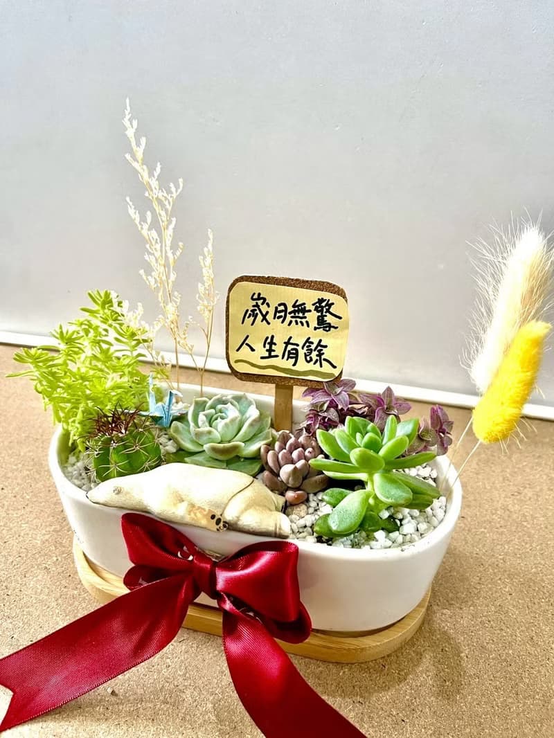 多肉組盆  小熊 日式枯山水 北極熊 滿月送禮 成長的意象 祝福禮
