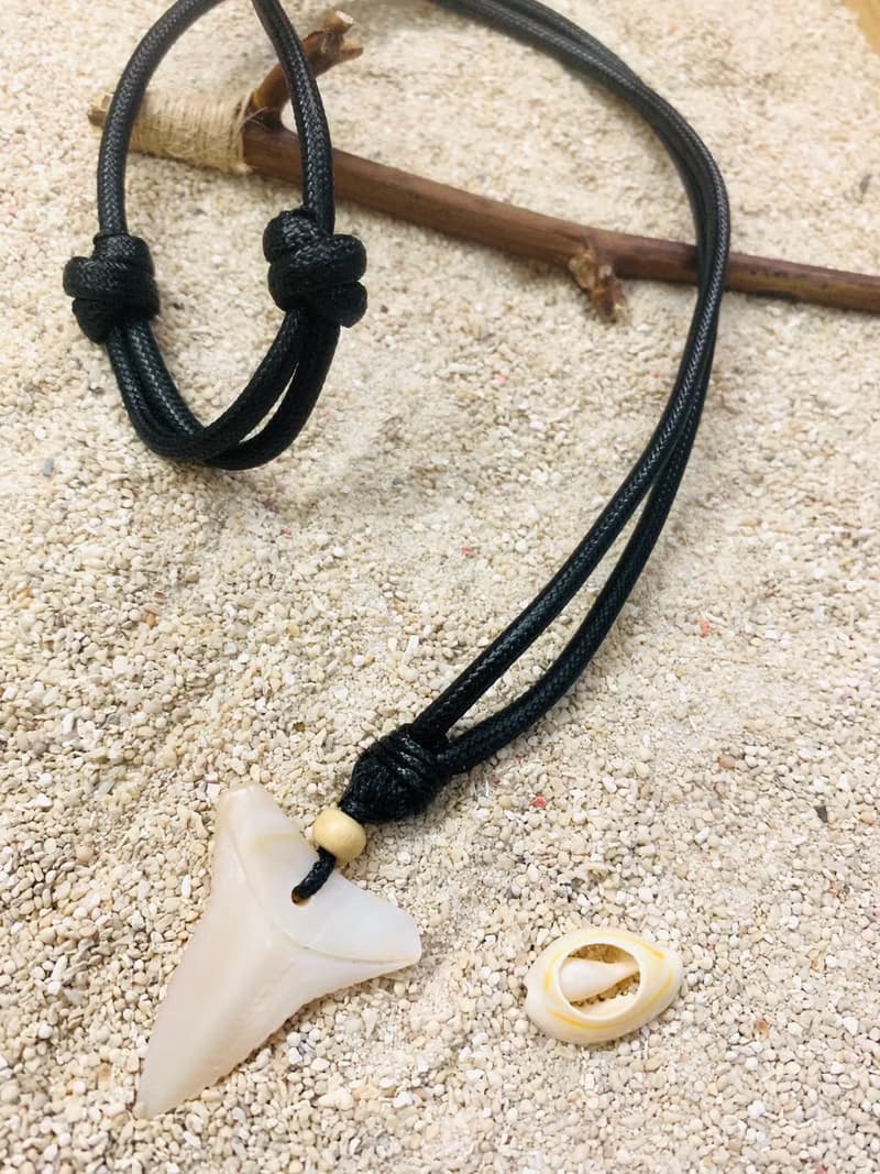貝殼鯊魚牙項鍊│Sea y'all Ocean King鯊魚牙項鍊