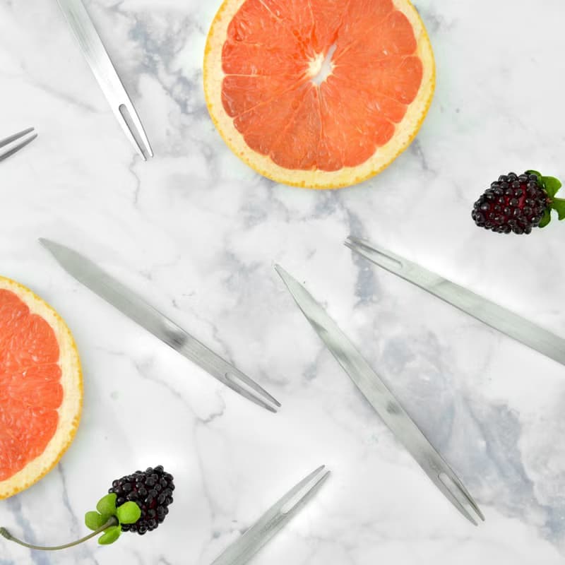 植栽水果叉典藏版-虎尾蘭 Desk+1質感食器