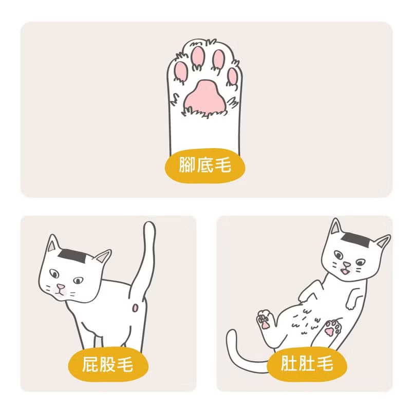 貓咪腳底毛 / 貓咪用 MB-025 奧本防水款寵物腳底毛小電剪 安全