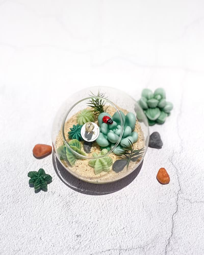 多肉植物玻璃盆栽蠟燭 | 仙人掌蠟燭
