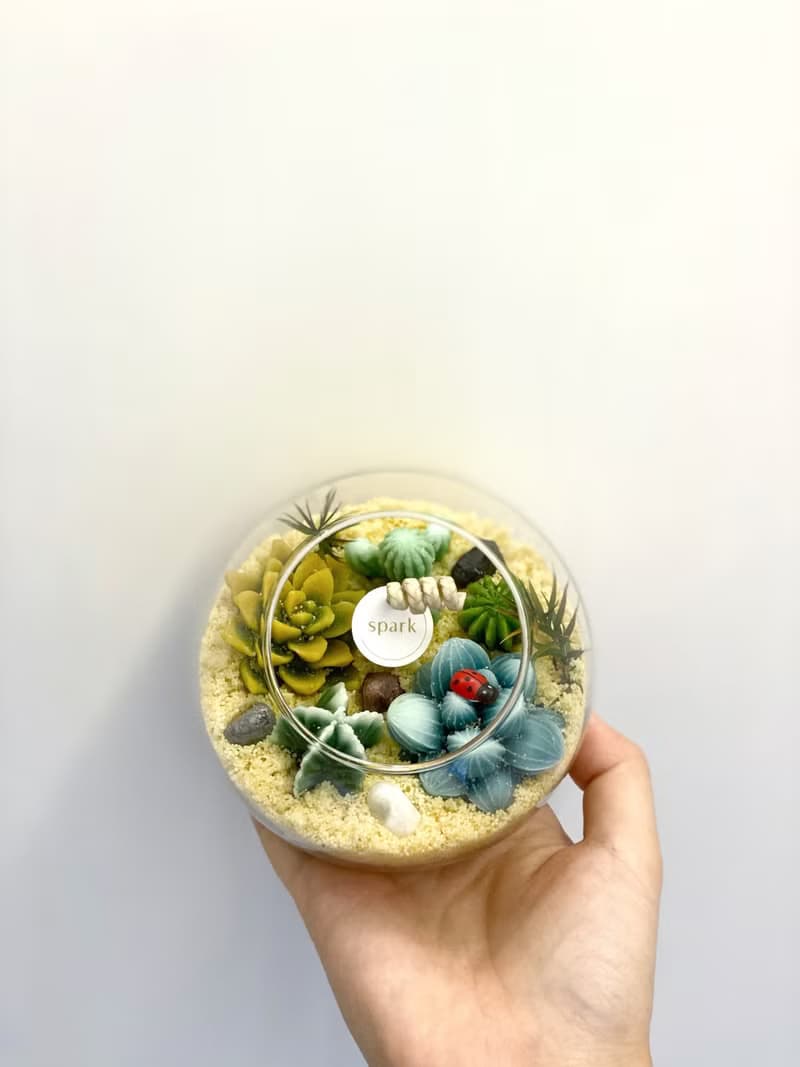 多肉植物玻璃盆栽蠟燭 | 仙人掌蠟燭