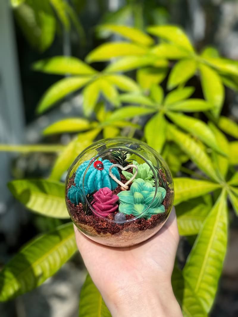 多肉植物玻璃盆栽蠟燭 | 仙人掌蠟燭