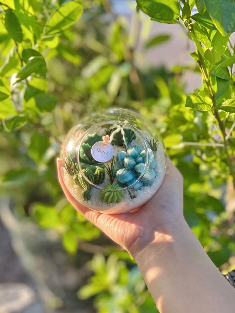 多肉植物玻璃盆栽蠟燭 | 仙人掌蠟燭