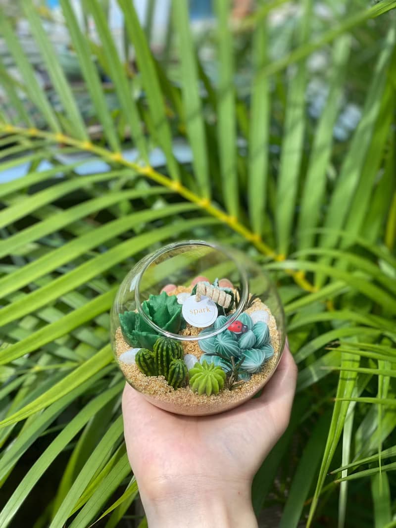 多肉植物玻璃盆栽蠟燭 | 仙人掌蠟燭