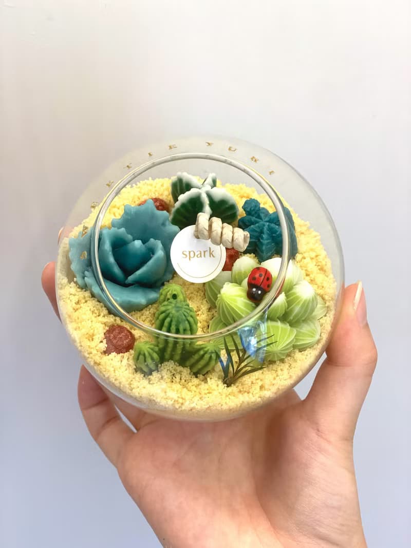 多肉植物玻璃盆栽蠟燭 | 仙人掌蠟燭