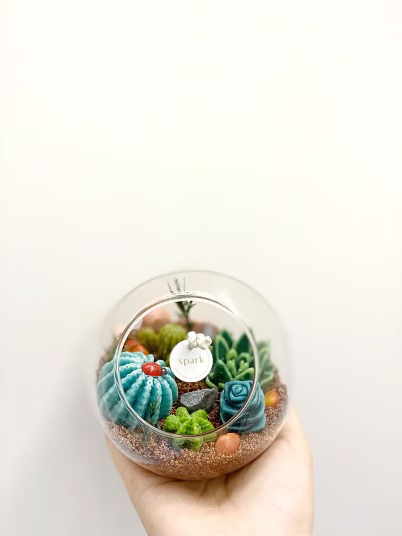 多肉植物玻璃盆栽蠟燭 | 仙人掌蠟燭