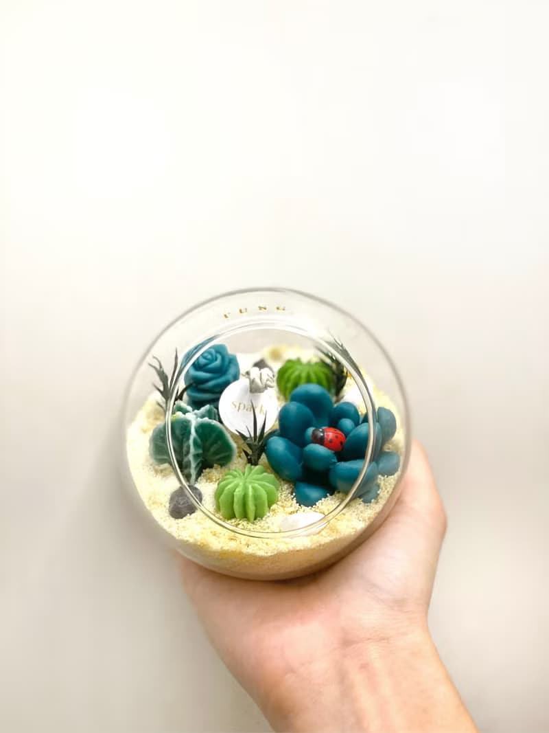 多肉植物玻璃盆栽蠟燭 | 仙人掌蠟燭