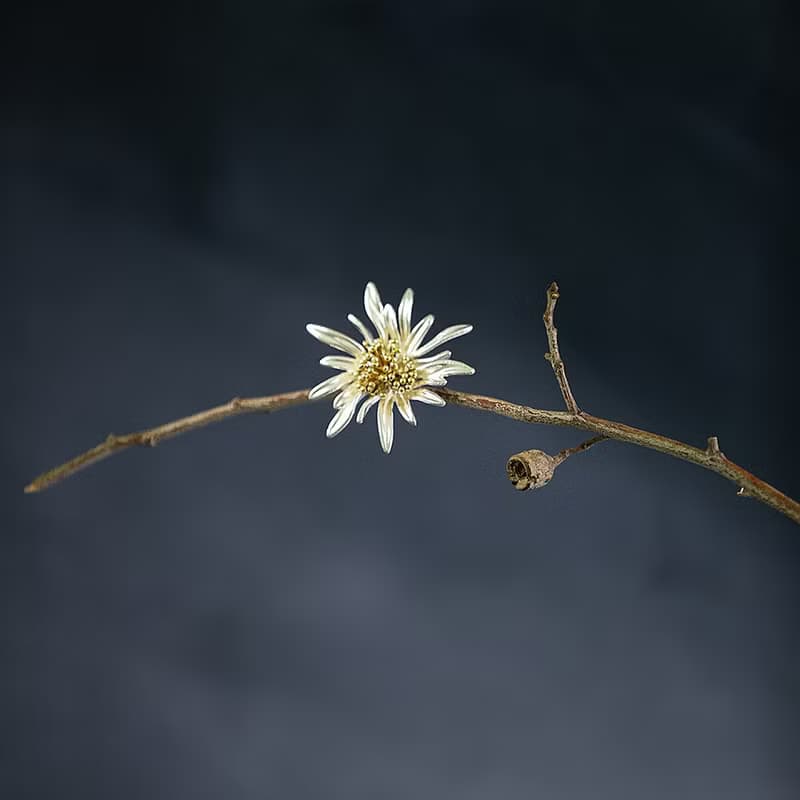 八月南方金工手作小雛菊胸花植物花朵胸針925銀清新淡雅氣質風格
